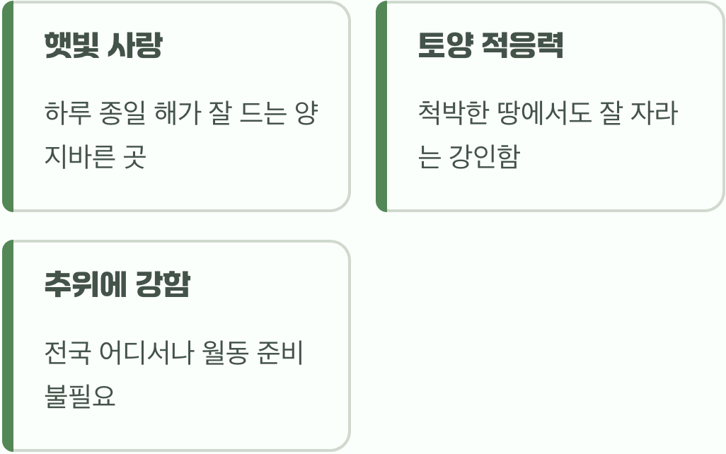 으름덩굴을 위한 최고의 명당