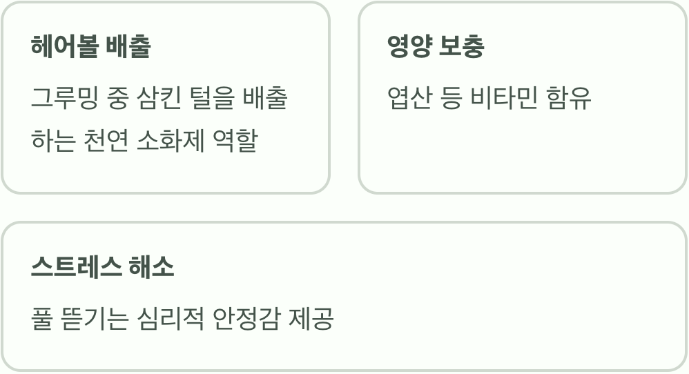 고양이 풀, 왜 먹는 걸까요?