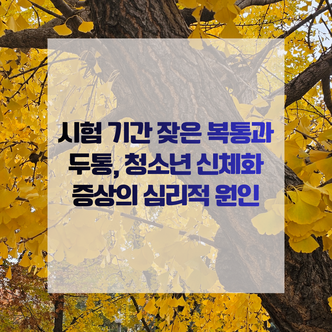 시험 기간 잦은 복통과 두통, 청소년 신체화 증상의 심리적 원인