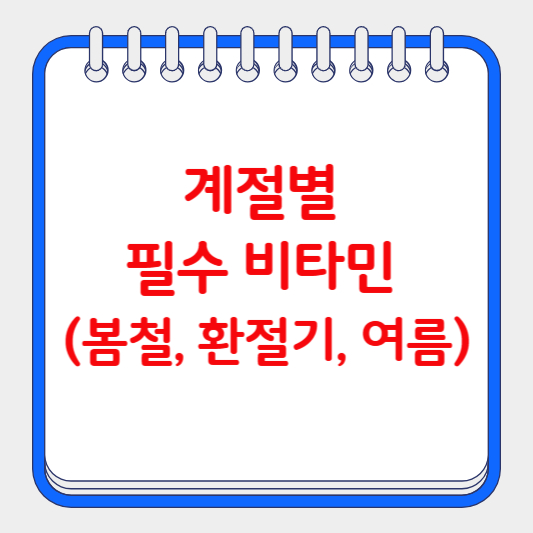 계절별 필수 비타민 (봄철, 환절기, 여름)