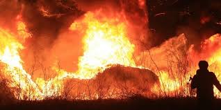 자연재해 재난 지원금 신청방법 