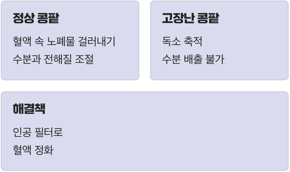 우리 몸의 필터가 고장 났을 때