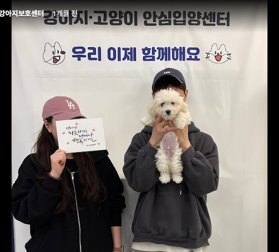 인천 동물보호센터 입양보호자 사진