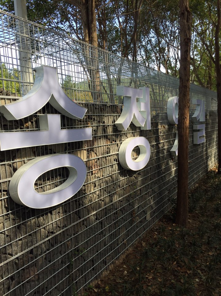 해운대 산책하기 좋은 곳 송정옛길