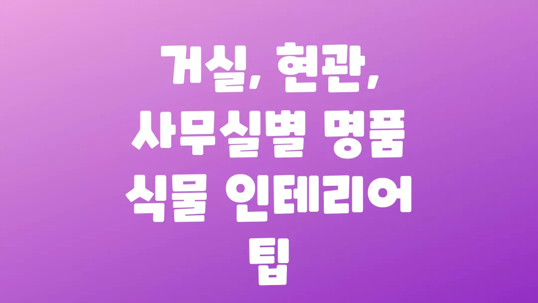 거실, 현관, 사무실별 명품 식물 인테리어 팁