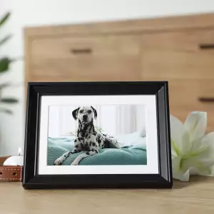 반려견 장례 절차 A to Z