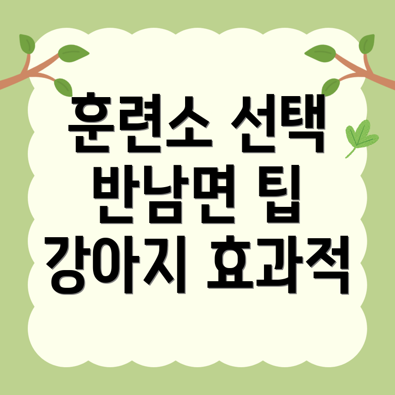 강아지 훈련소 비용