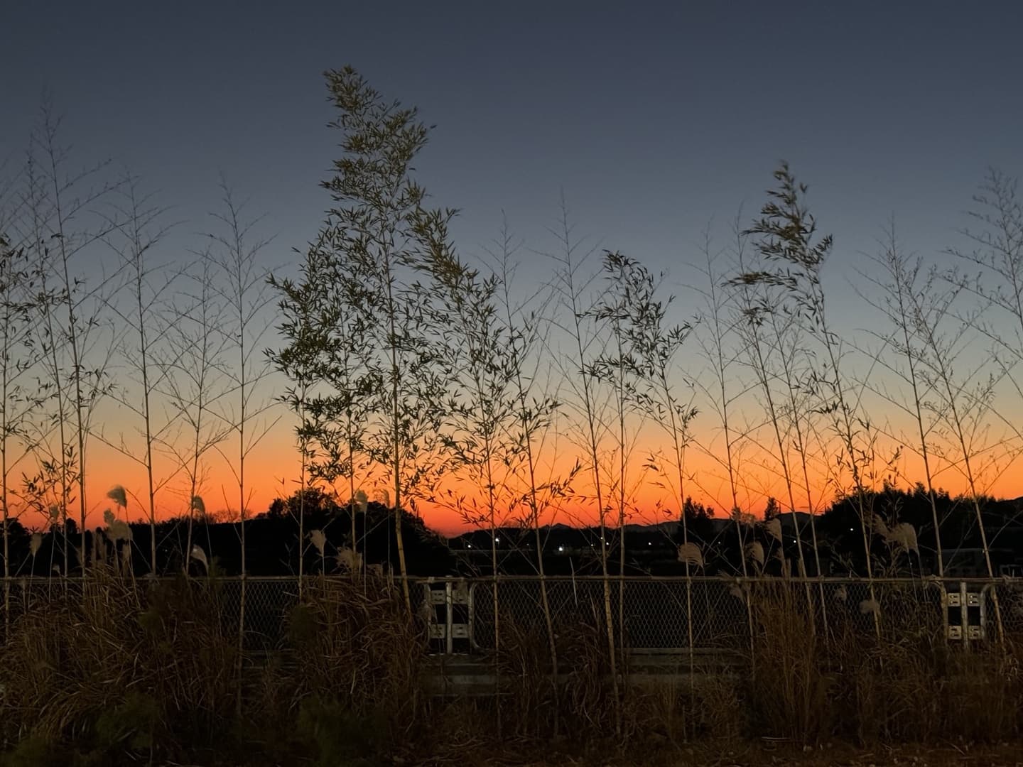 담양 백양동 투썸에서 바라보는 석양의 노을지는 모습