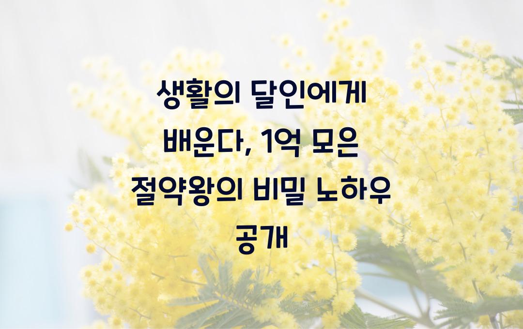  생활의 달인에게 배운다: 알뜰 살림 노하우로 1억 모은 실제 사례