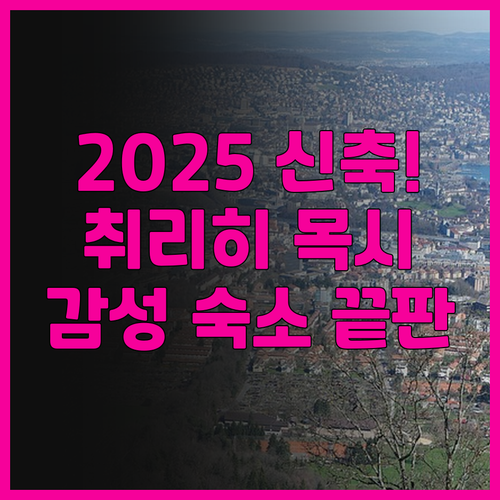 목시 취리히 추천 2025년 신규 오..
