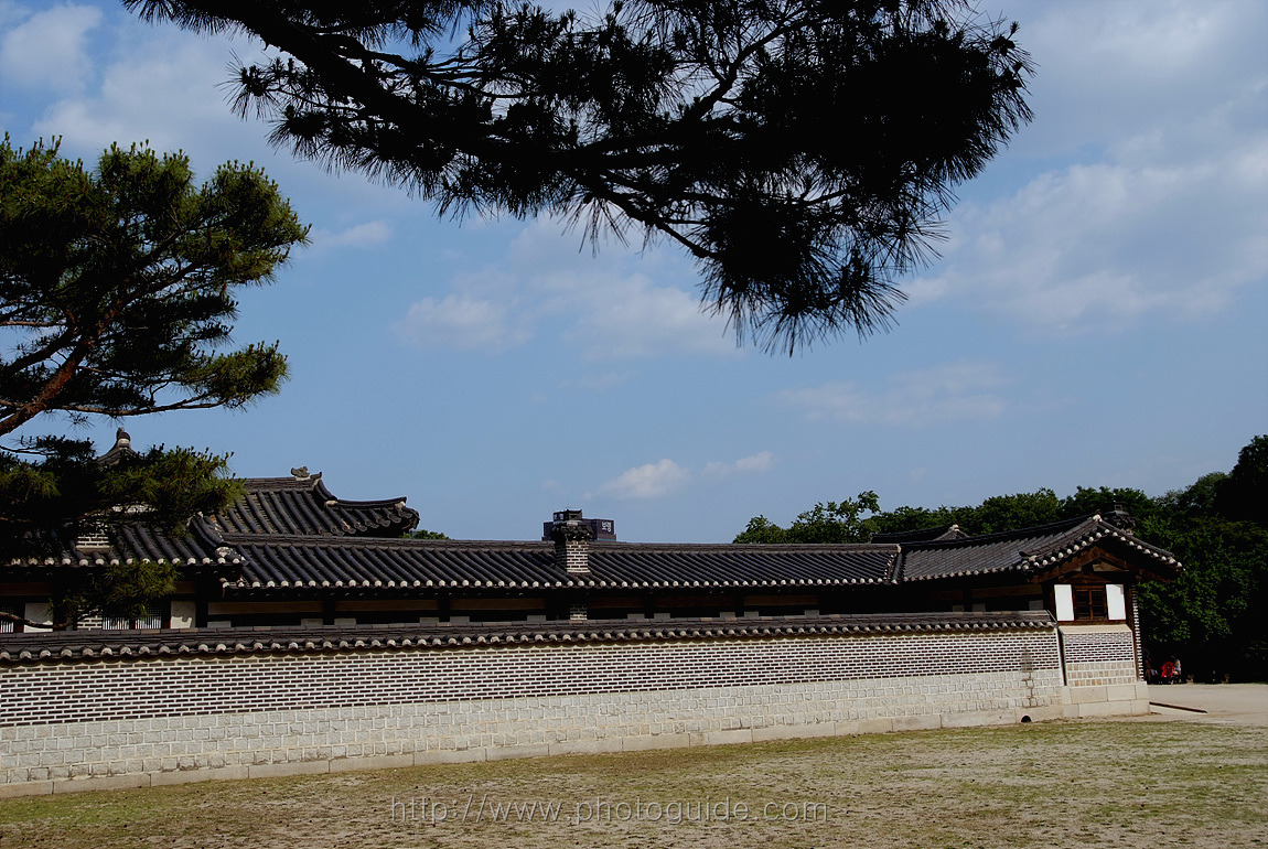 창덕궁 Changdeokgung Palace