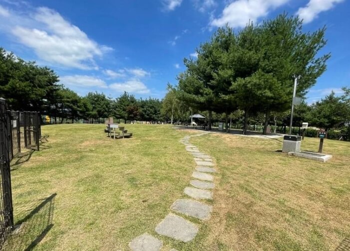 청주 가볼만한곳 베스트 10