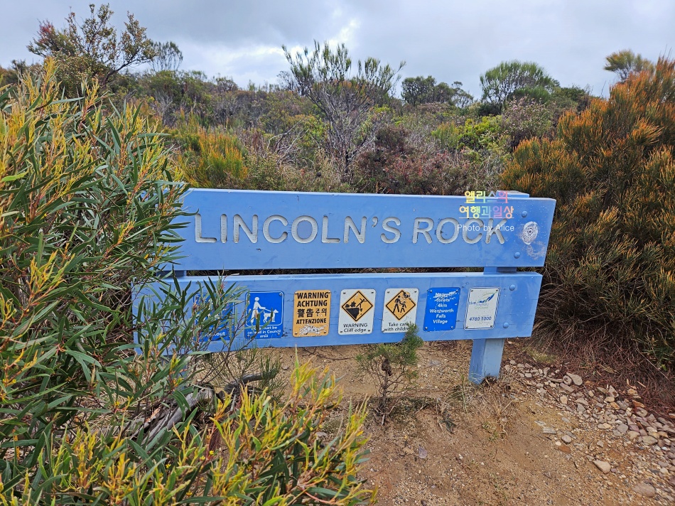 시드니 근교 블루마운틴 투어 가격 솔직 후기 + 시드니 동물원 일일투어