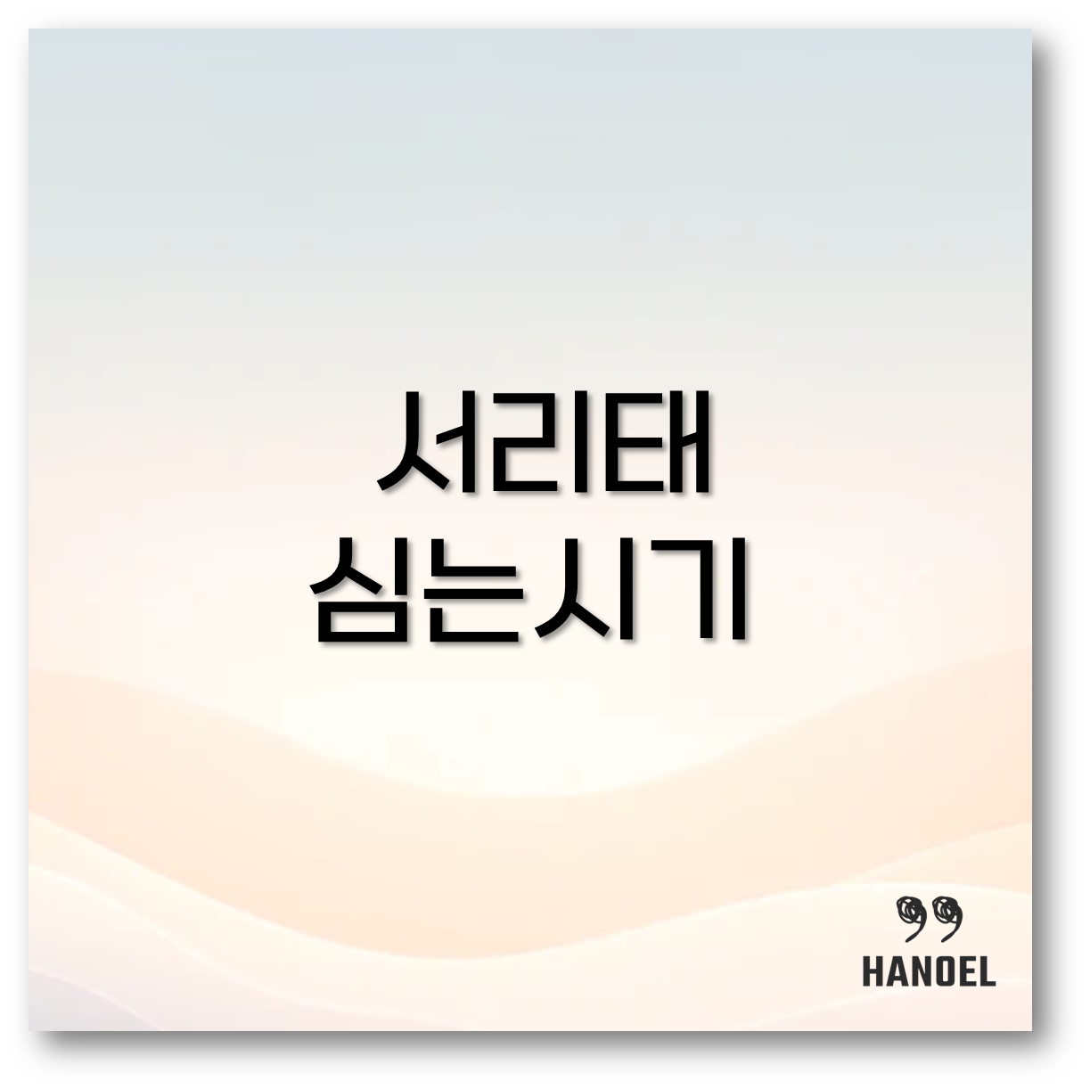 서리태 심는시기