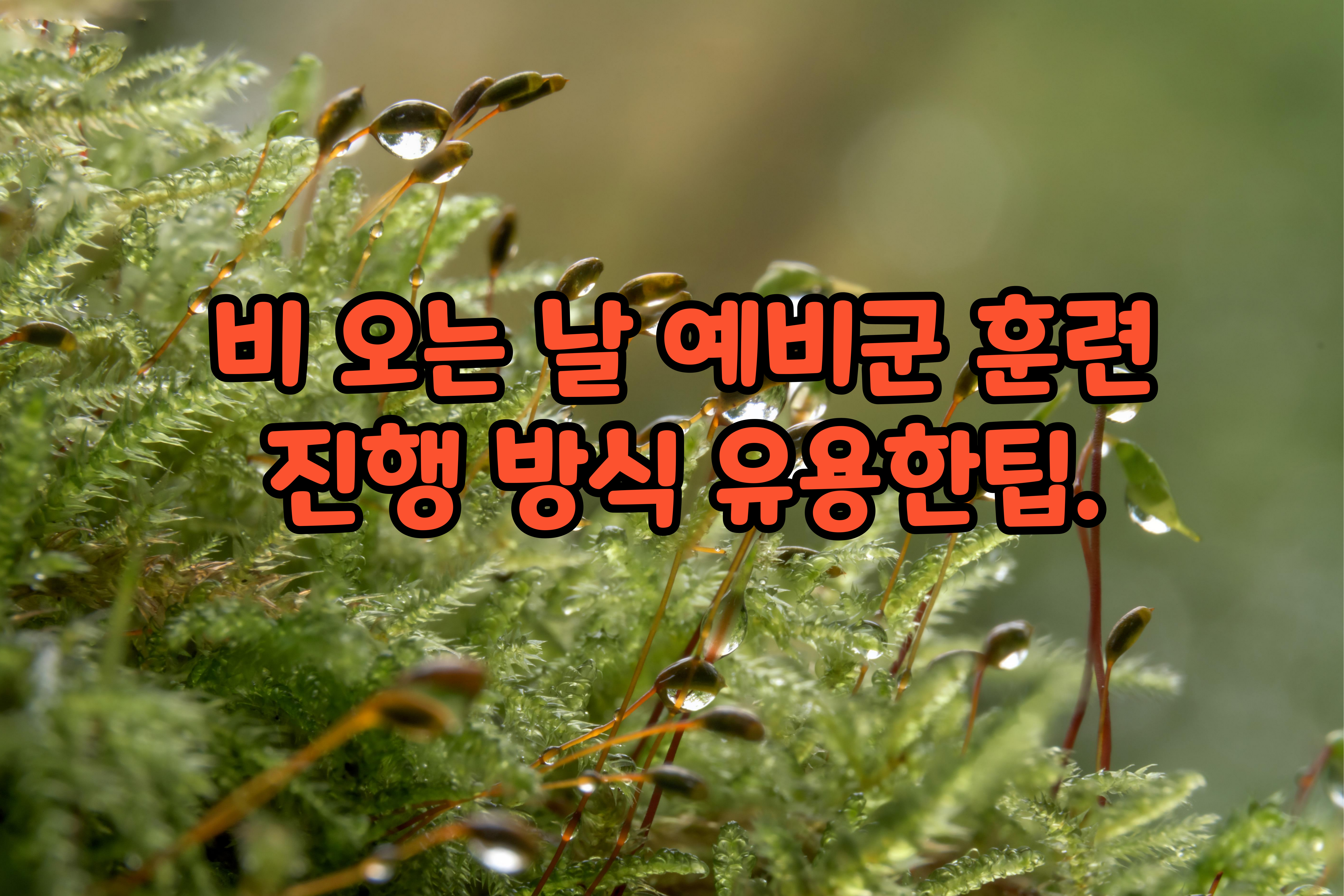 비- 오는- 날- 예비군 -훈련