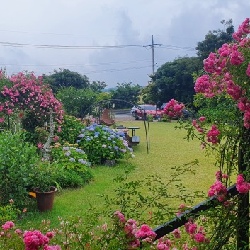 제주도한달살기초록마을