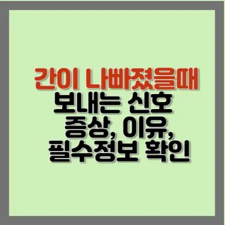 간이-나빠졌을-때-보내는-신호-증상-이유-필수정보-확인