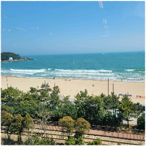 송정해수욕장