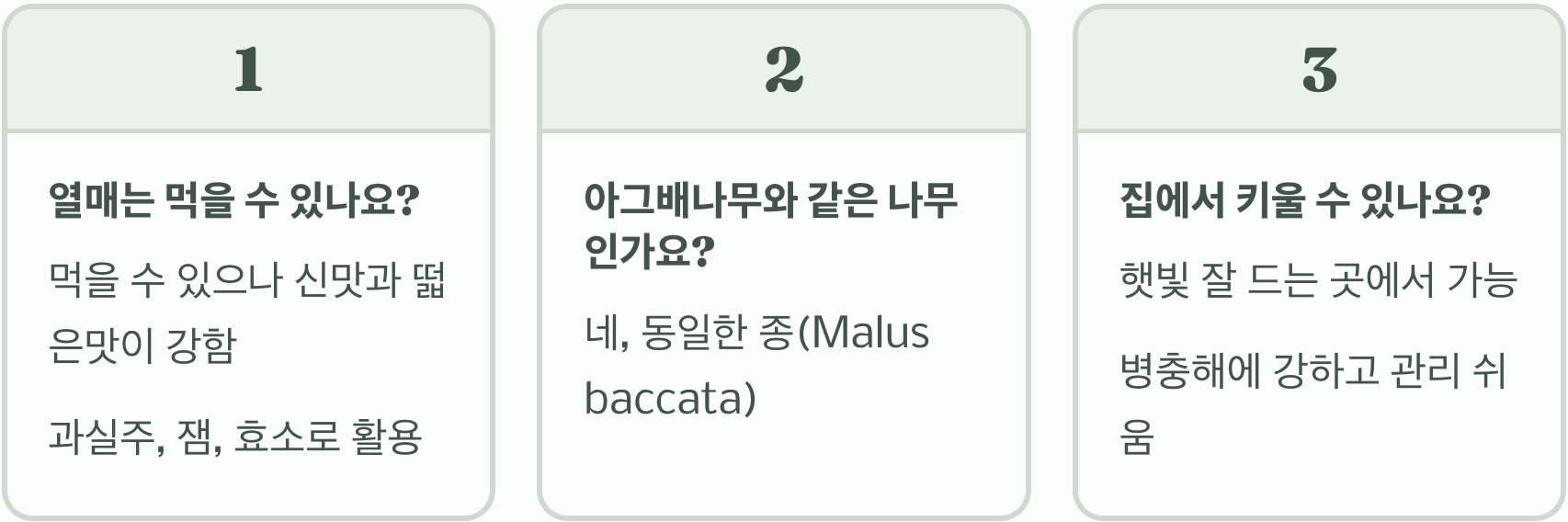 야광나무, 정말 밤에 빛이 날까? 이름에 숨겨진 놀라운 진실