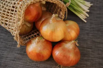 양파즙 효능 및 영양성분&amp;#44; 주의점