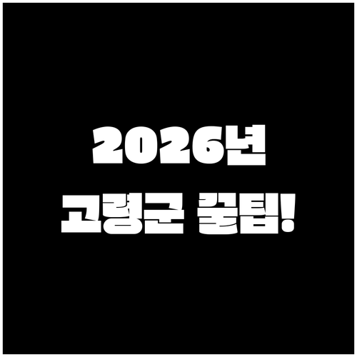 2026년 고령군 청년월세 자격 조건..