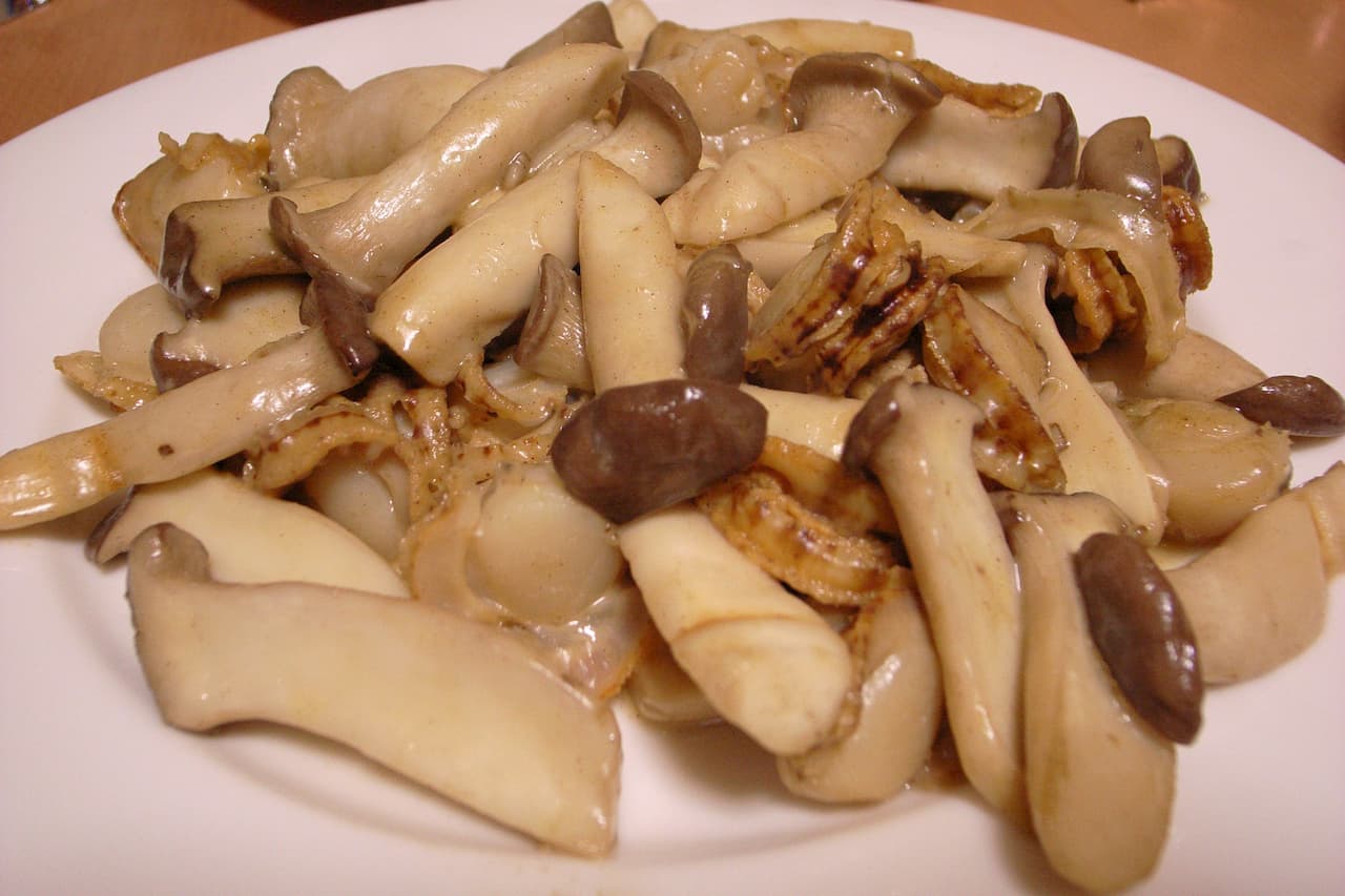 새송이버섯 요리