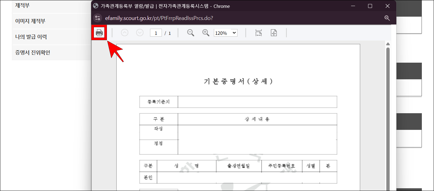 미리보기 화면의 인쇄(프린터 아이콘) 버튼을 선택