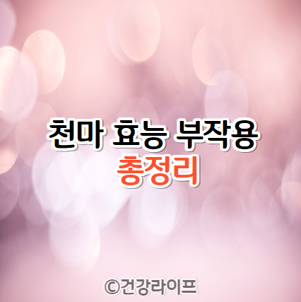 천마 효능 부작용