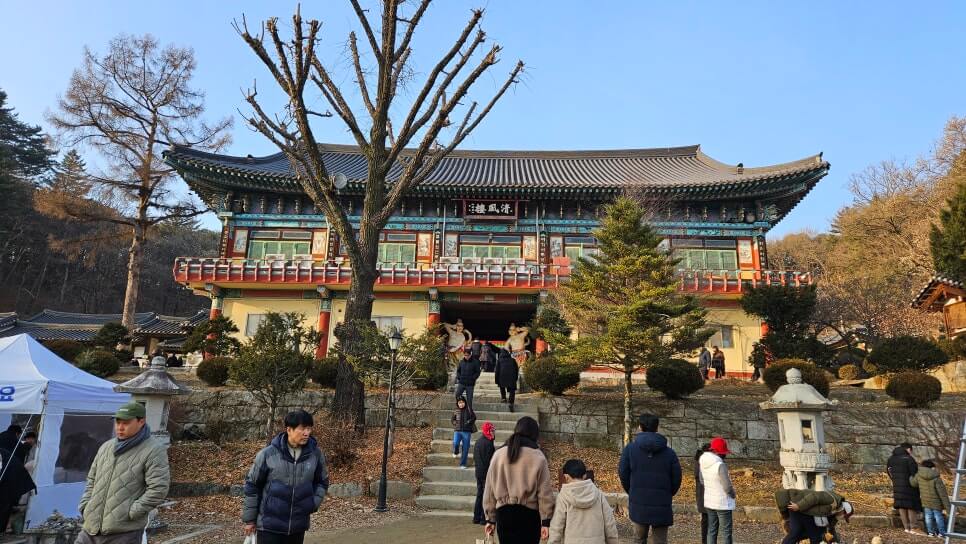 남양주 봉선사 : 광릉 숲의 정기와 세조의 넋이 머무는 천년고찰 광릉 숲 연꽃 힐링