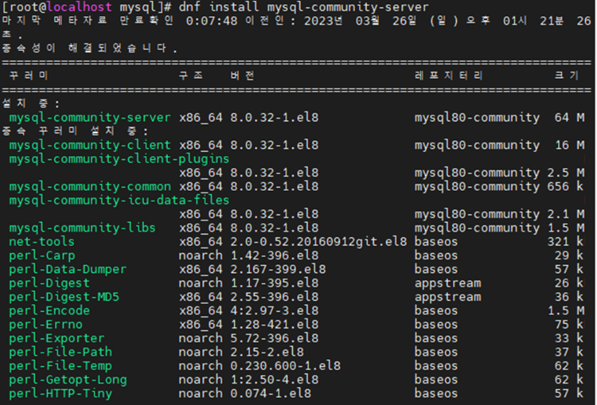 MySQL community Server 설치화면