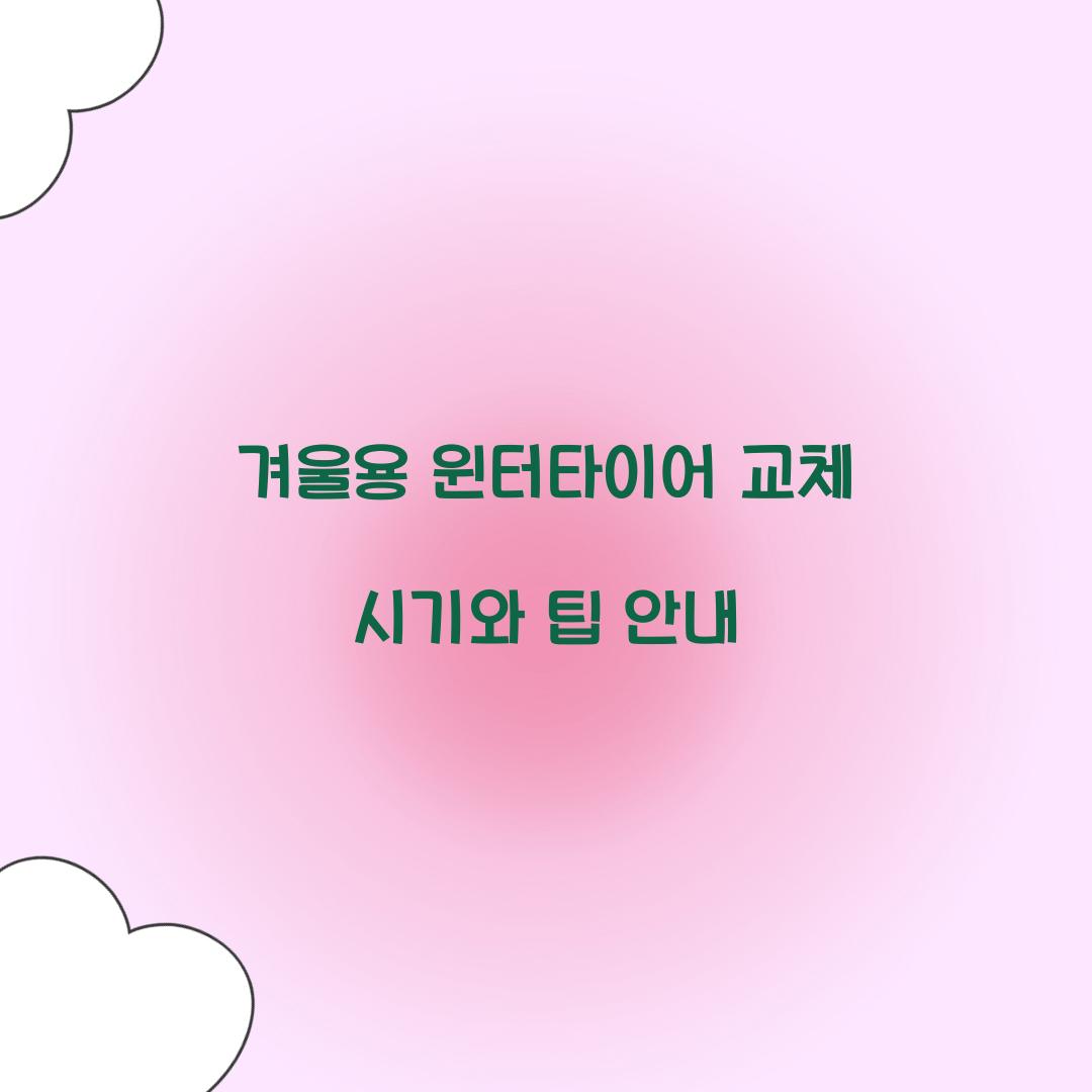 겨울용 윈터타이어 교체