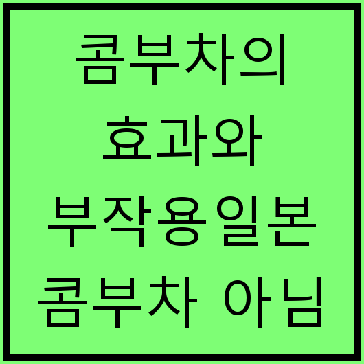 콤부차의 효과와 부작용일본 콤부차 아님