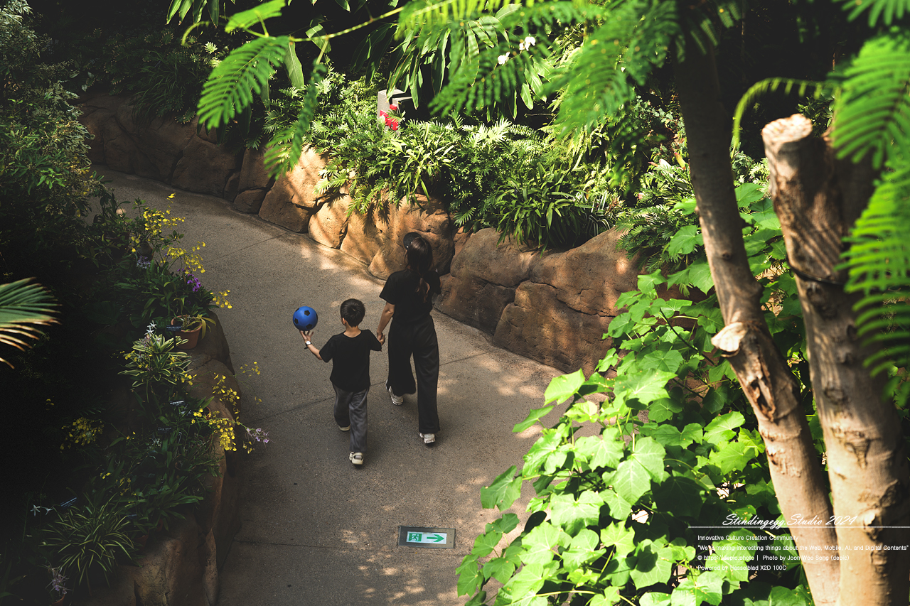 #서울 #식물원 #서울식물원 #꽃