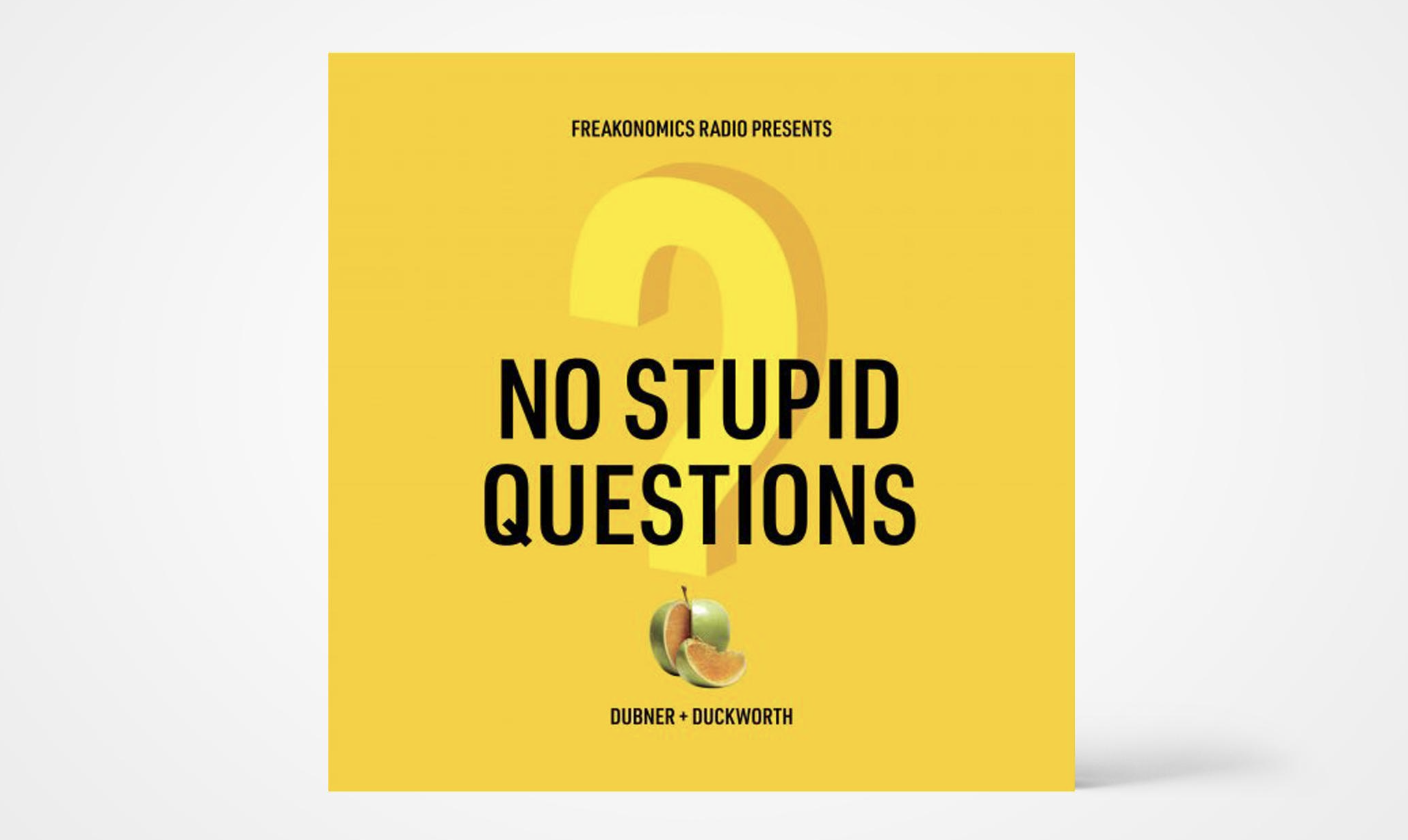 No-Stupid-Questions