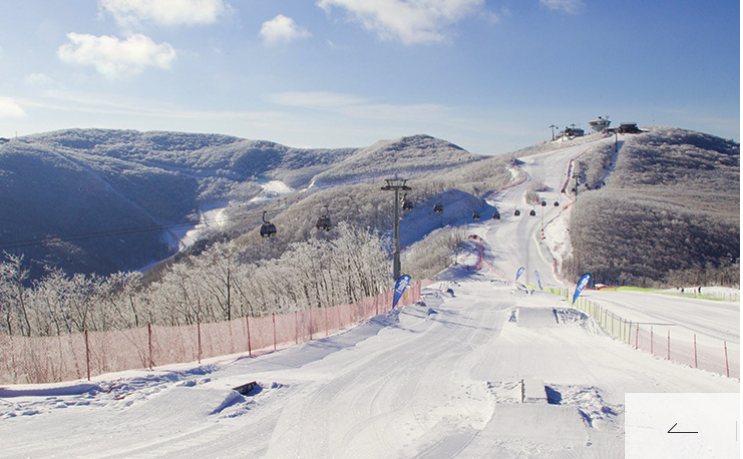 전국 스키장 개장일