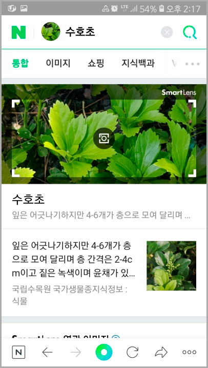네이버 식물 검색