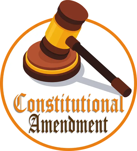 국민의힘 정당해산 국민청원 사이트