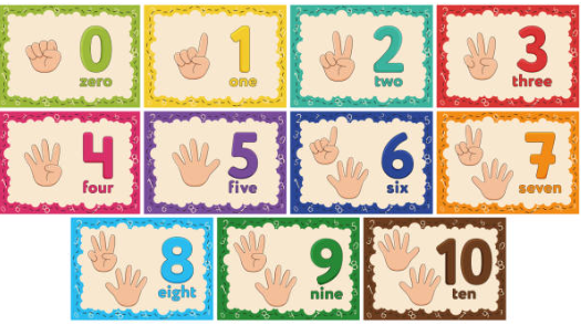 number flashcards for kids