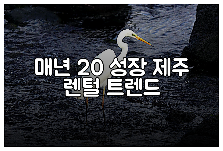 매년 20 성장 제주 렌털 트렌드