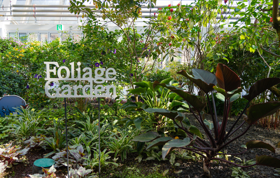 영흥 수목원 온실 정원