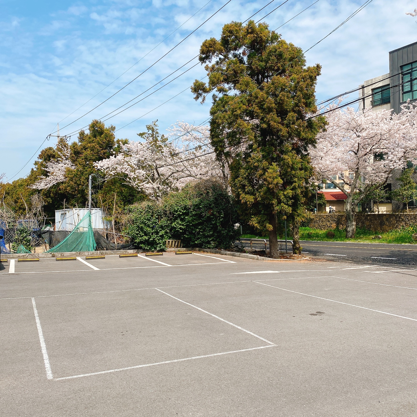 제주 정실마을 월정사 브런치 맛집 블리스찬 카페