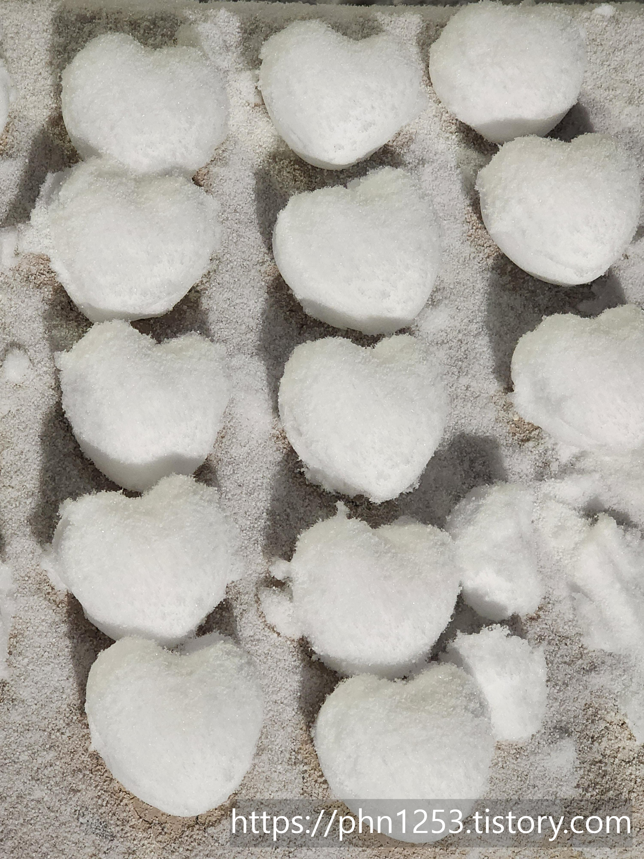 Alt 속성 문제 해결 설명 이미지