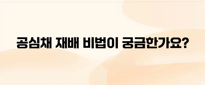 [텃밭 가이드] 공심채 키우는 방법, 초보자도 가능한 재배법