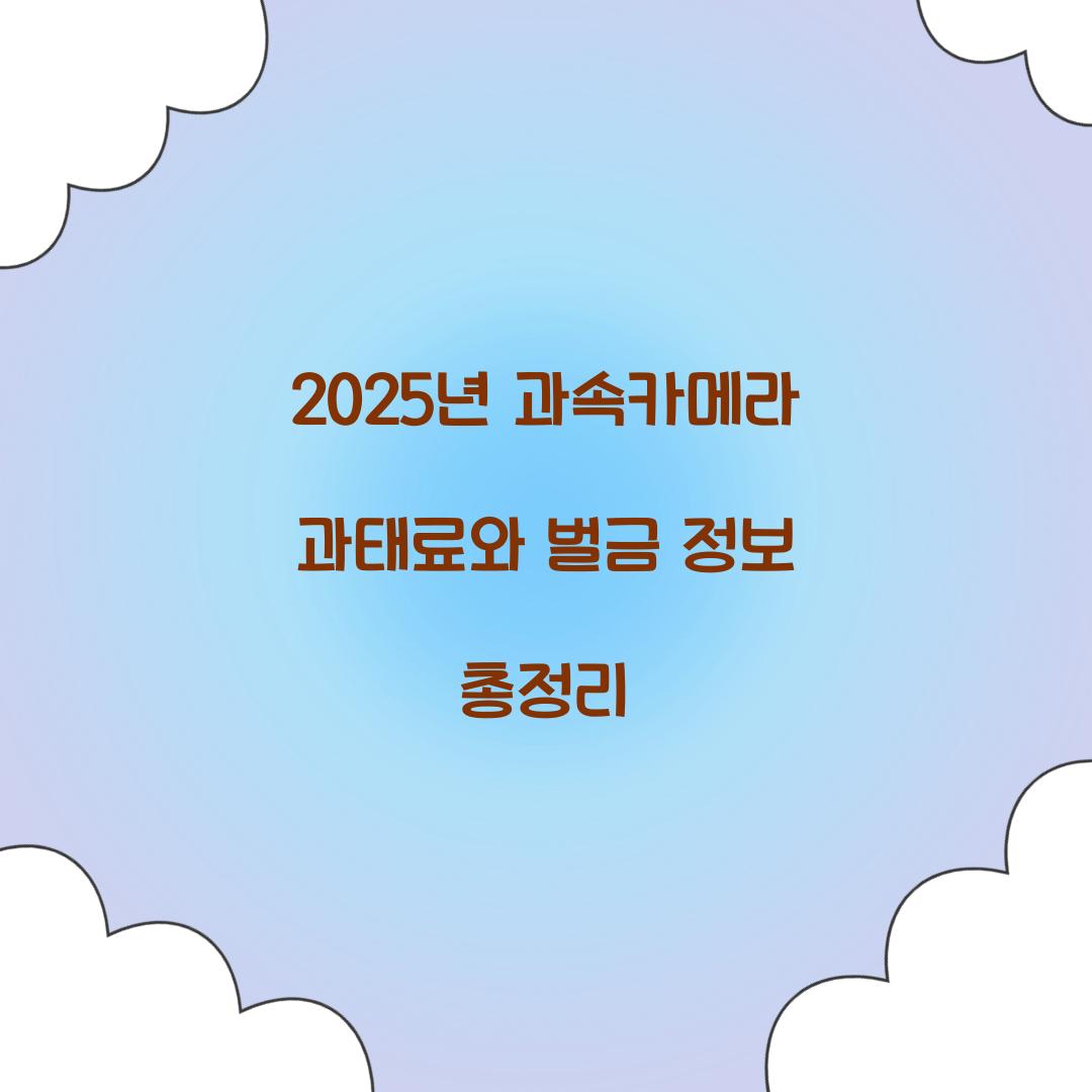 과속카메라 과태료