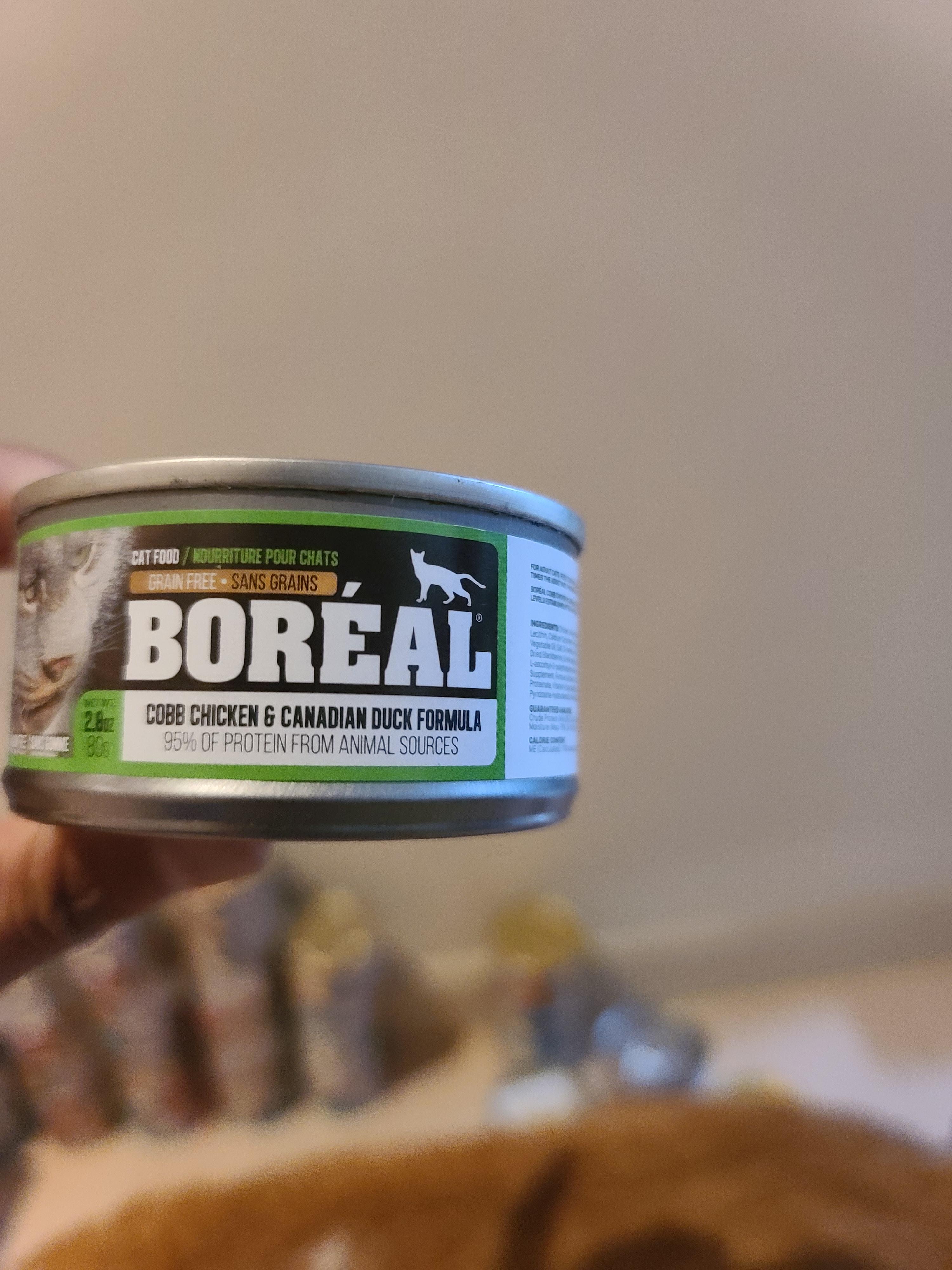 다다는 주식캔 테스트중..