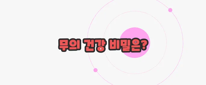 무 효능 궁금한 점, 풀어보죠