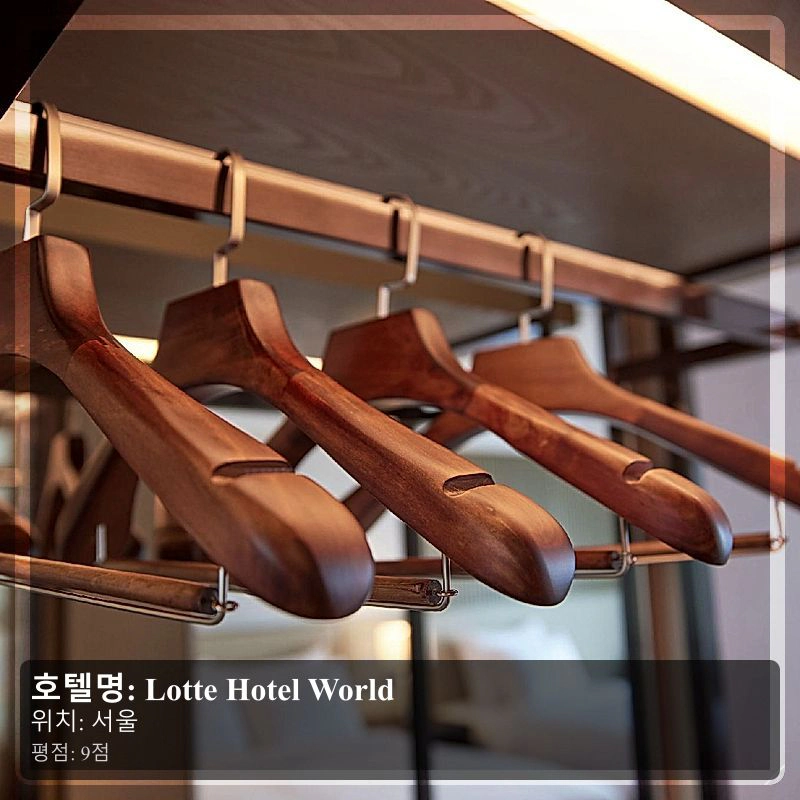 Lotte Hotel World_4