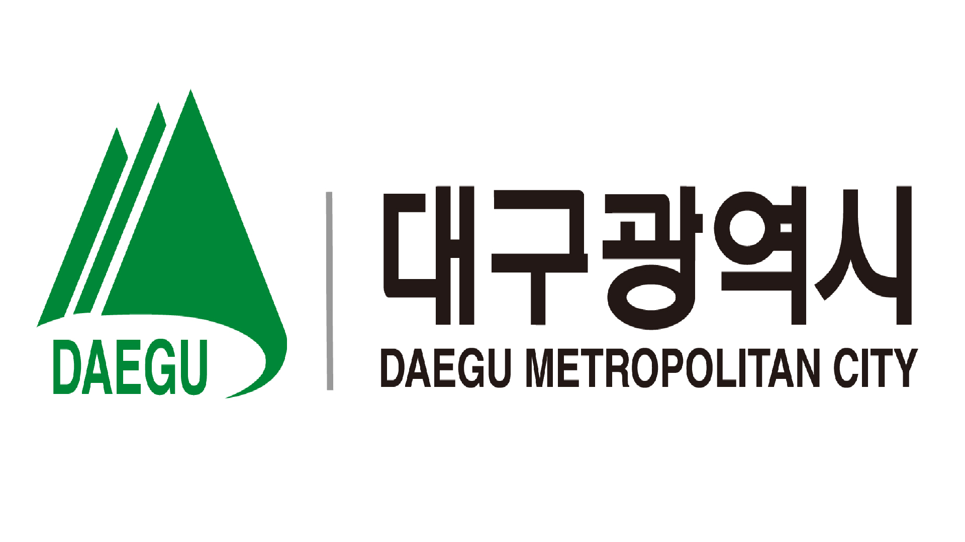 대구광역시 어르신 교통비 지원금 가이드