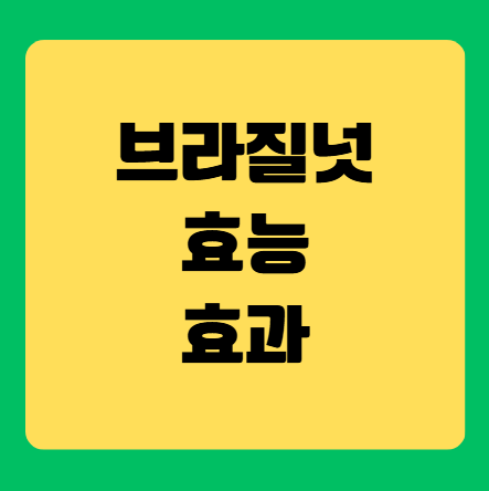 브라질넛 효능 완벽 가이드 - 슈퍼푸드의 놀라운 건강 효과(브라질 넛트)