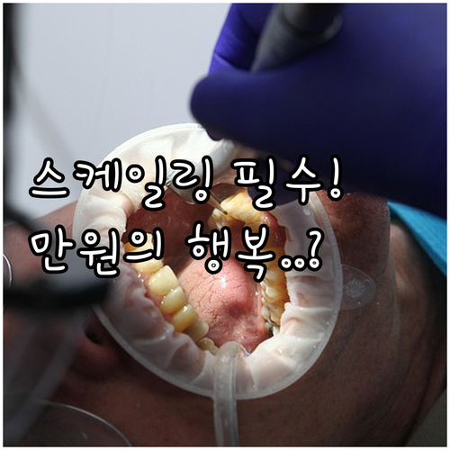 스케일링 건강보험 연 1회 적용 기준..